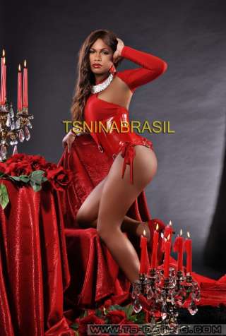 trans girl NinaBrasil 4338417 trans girl NinaBrasil 4338417