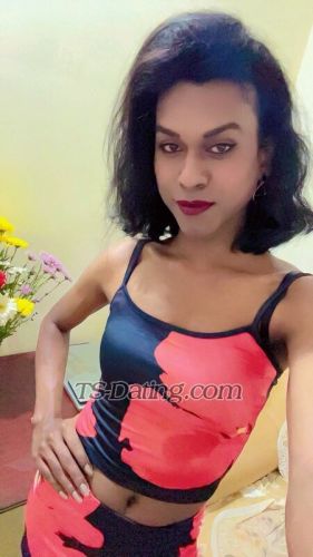 trans girl Nisha555 0600295 trans girl Nisha555 0600295