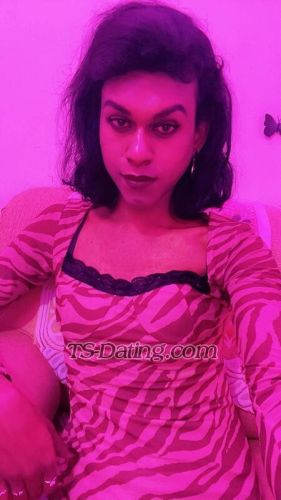 trans girl Nisha555 0600347 trans girl Nisha555 0600347