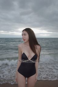 Nningning Bangkok Transex Hi , I’m Ning
I’m 22 years old 
I’m 170 cm , 52 kg
I have white and clean skin
My dick is 5 inch
I can do anything for you, just tell me 💦
Come on if you want to get to know me more😉
I will make you fall in love with me ☺️🩷

💖Services💖
Safe and clean 
Sweet girlfriend expensive 
Hot kiss
Anal sex, Anal rimming 
cum with you 
party with you 

📱 Contact 
Whatsapp: +66 82 219 8407
Wechat: Loveloveprcn