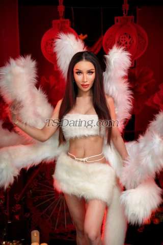 trans girl NorskTrans 8565019 trans girl NorskTrans 8565019