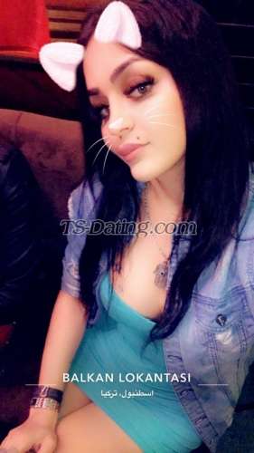 trans girl Nortrans 7570397 trans girl Nortrans 7570397