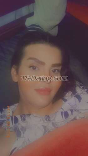 trans girl Nourqween 7861791 trans girl Nourqween 7861791