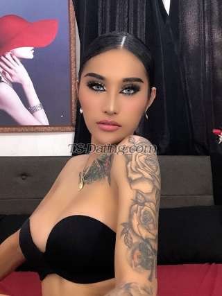 trans girl nikitalust 8819305