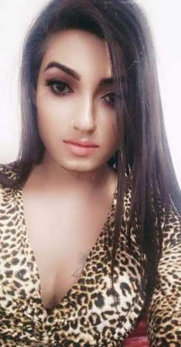 trans girl nimmiroy4 8630912 trans girl nimmiroy4 8630912