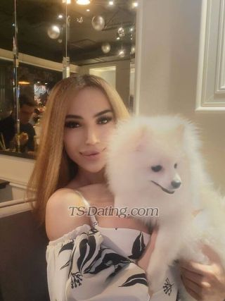 trans girl Obod20 3764785 trans girl Obod20 3764785