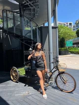 trans girl Olivecort 3780363 trans girl Olivecort 3780363