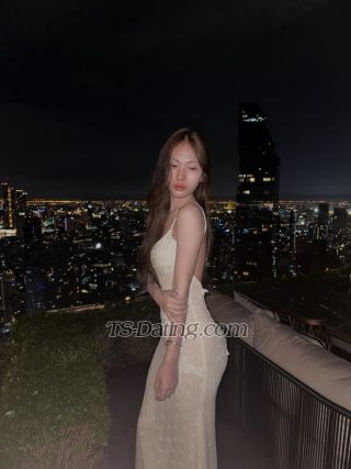 trans girl omelet 1590941 trans girl omelet 1590941