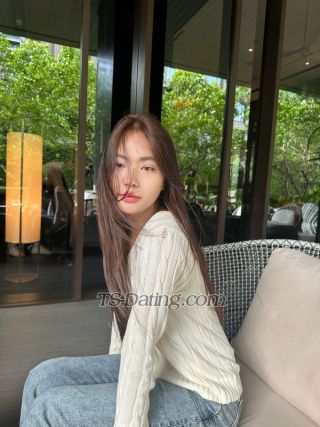 trans girl omelet 9517322 trans girl omelet 9517322