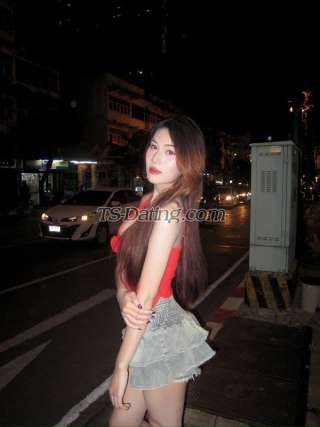 trans girl 083291mm 6629086 trans girl 083291mm 6629086