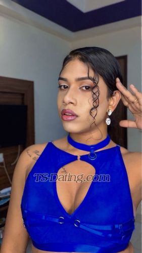 trans girl 123sitara 2415457