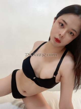 trans girl PIM11223 6603260 trans girl PIM11223 6603260