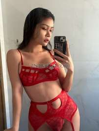 POPPYBIGCOCK Chiang Mai Transex Bienvenue les gars 💋 Laissez-moi être celui qui fera de votre fantaisie une réalité. Je suis une ladyladyboy sexy de 5'7, amicale, gentille, avec une belle personnalité, parlant bien anglais 🔥 je peux faire les deux (haut + bas) 🤓 - massage d'abord pour commencer ❤️ - première expérience pour ladyboy - gorge profonde 💋 😍 - éjacule dans 🤤 (bouche/visage) -douche dorée 🚿 Tout service que vous pouvez concevoir 🔥 Ajoute-moi pour discuter, apprends à me connaître et essaie-moi bébé ❤️ Mon 🍆 6,5 pouces 💧💦 j'espère que vous apprécierez J'ai 6,5 pouces Vraiment gros, vraiment dur, éjacule comme des milkshakes Mes photos 100% réelles ❤️💋