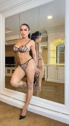 Shemale Pailin 2128070 Shemale Pailin 2128070