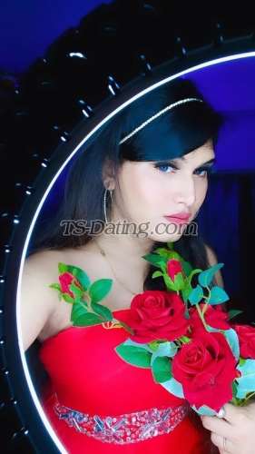 trans girl Palakroy 0865172