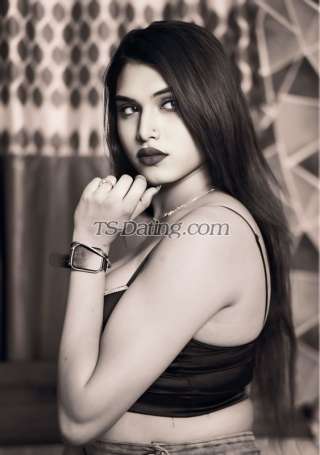 trans girl Palakroy 6467753