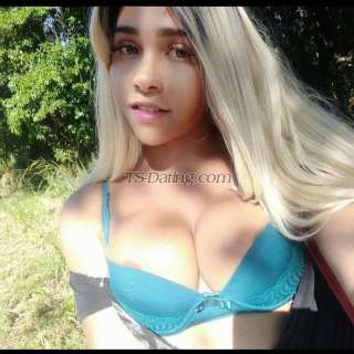 trans girl Pamela153 7587114 trans girl Pamela153 7587114