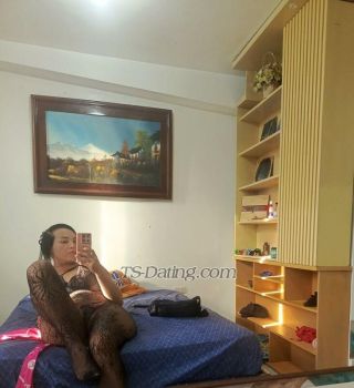 trans girl PamelaLechos 5812788 trans girl PamelaLechos 5812788