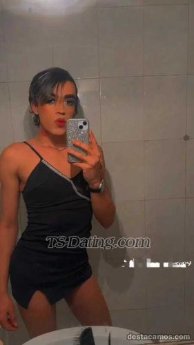 trans girl Pamelaortega1 0762962 trans girl Pamelaortega1 0762962
