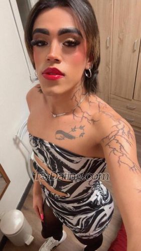 trans girl Pamelaortega1 4949064 trans girl Pamelaortega1 4949064