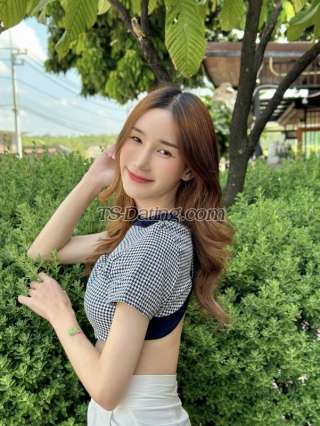 trans girl Pangg 1130276 trans girl Pangg 1130276