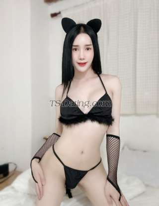 trans girl Pangg 2241979 trans girl Pangg 2241979