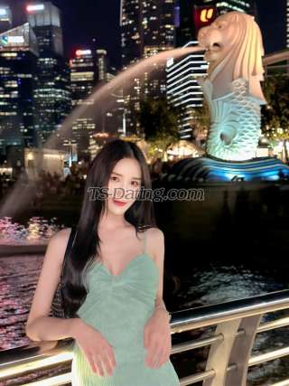trans girl Pangg 8097373 trans girl Pangg 8097373