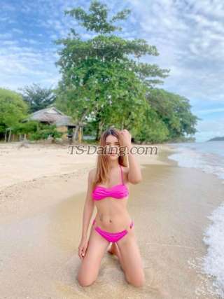 trans girl Panny09 0306521 trans girl Panny09 0306521