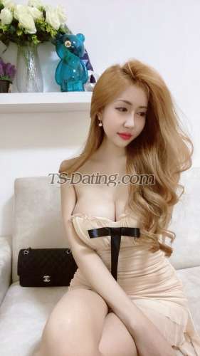 trans girl Panny1234 3936637 trans girl Panny1234 3936637