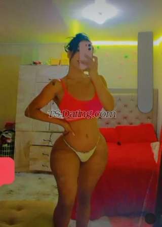 trans girl PaolaMozombi 5535472 trans girl PaolaMozombi 5535472