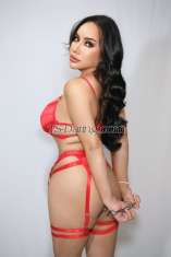 Parixx2 Macau Transex 