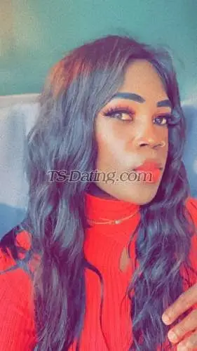 Shemale Patricianoir 9947975 Shemale Patricianoir 9947975