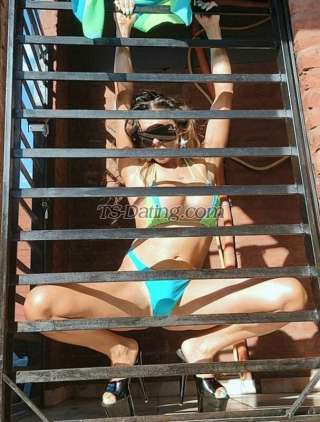 trans girl PazMundial 6383977 trans girl PazMundial 6383977