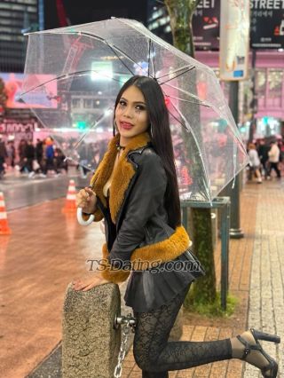 trans girl Petlada 2181274 trans girl Petlada 2181274