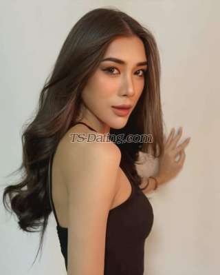 trans girl Phollybangkok 3571441 trans girl Phollybangkok 3571441