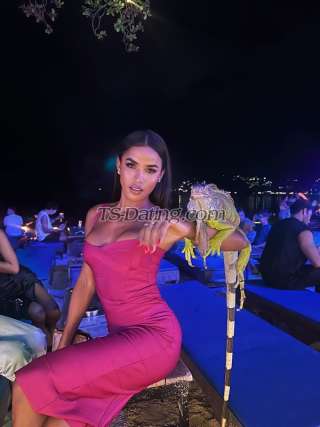 trans girl Pianotsthai 7115692 trans girl Pianotsthai 7115692