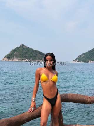 trans girl Pianotsthai 8393479 trans girl Pianotsthai 8393479