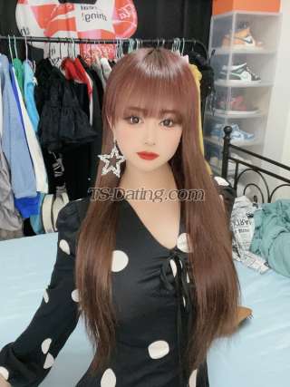 trans girl Piaozhien 4769201 trans girl Piaozhien 4769201