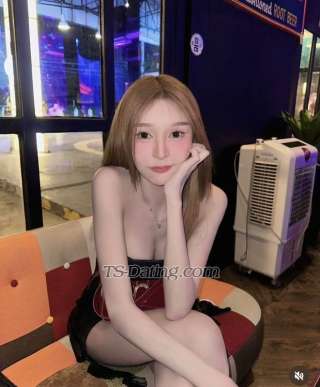 trans girl Pimlysharat 2433638 trans girl Pimlysharat 2433638