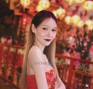 trans girl Pimlysharat 2433828 trans girl Pimlysharat 2433828