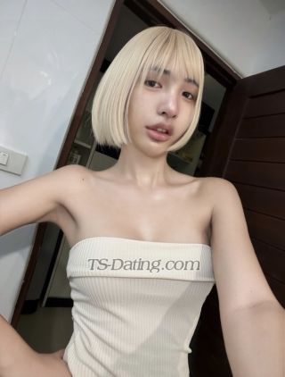 trans girl PingPingPing 3083175 trans girl PingPingPing 3083175