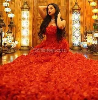 trans girl Pomba 6048766 trans girl Pomba 6048766