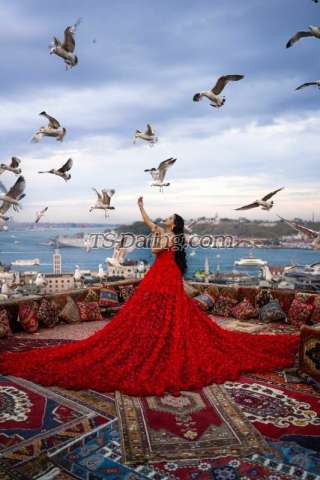 trans girl Pomba 6092996 trans girl Pomba 6092996