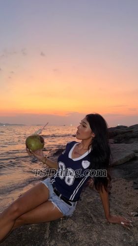 trans girl Porrspchh 3117600 trans girl Porrspchh 3117600