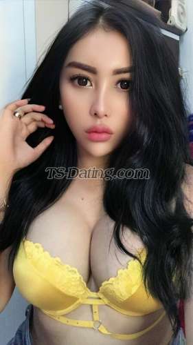 trans girl pamelaputry 6751833 trans girl pamelaputry 6751833