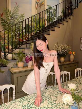 trans girl pproudrcn 5909449 trans girl pproudrcn 5909449