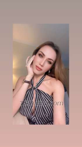 trans girl Qibarb 0763769 trans girl Qibarb 0763769