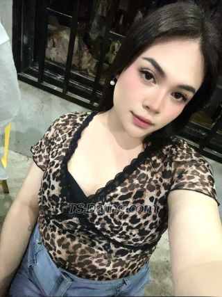 trans girl QueenCarly 7391423