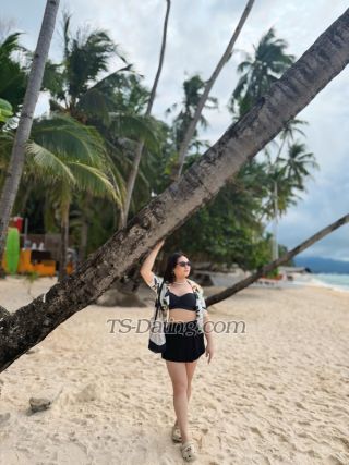 trans girl QueenCarly 8463746