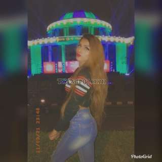 trans girl QueenShona 7490631 trans girl QueenShona 7490631